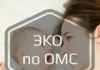 Как бесплатно сделать ЭКО по ОМС в 2025 году?