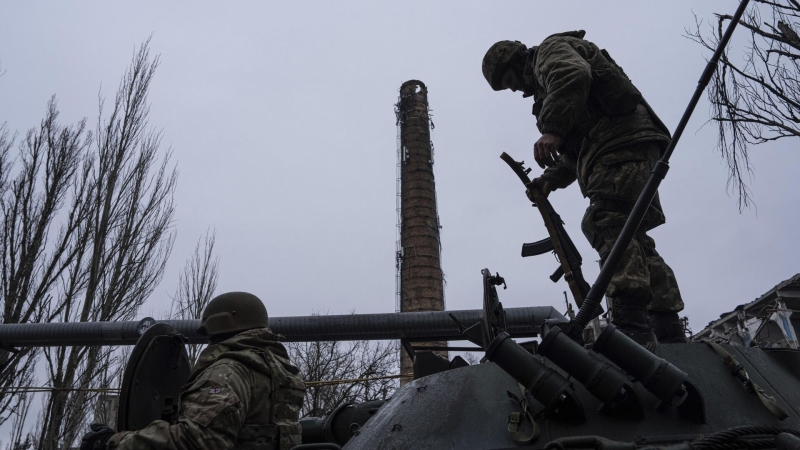 "Гниют в лесах": в Швеции пришли в ужас от ситуации на Украине