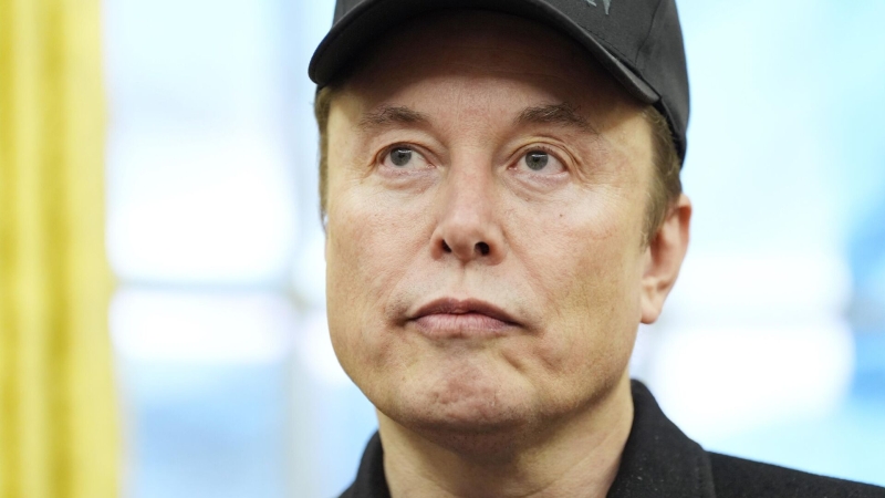 Источник назвал слова Даванкова о политическом убежище для Маска хайпом