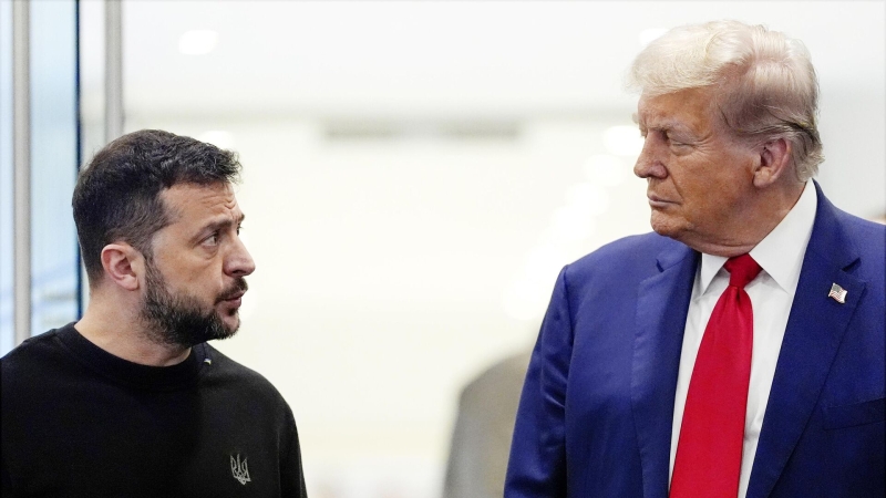 Экс-премьер Украины раскрыл суть отношений Зеленского и Трампа