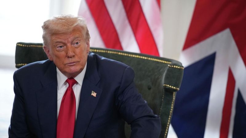 Эксперт: Трамп вряд ли введет пошлины против России по истечении 10-12 дней