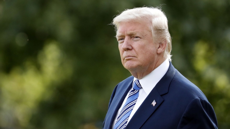 Трампу надоели безрассудные действия DOGE, пишет WSJ