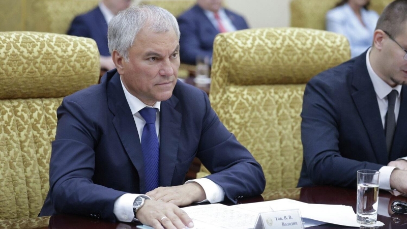Володин раскрыл тему обсуждений в Пекине