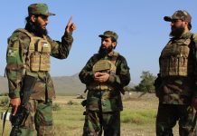 Афганистан и Пакистан согласились на продолжение перемирия