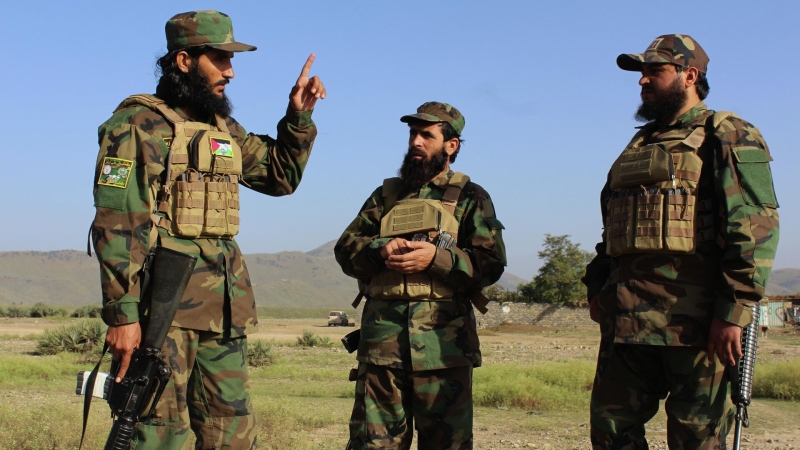 Афганистан и Пакистан согласились на продолжение перемирия