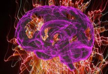 Названа самая полезная ягода для мозга