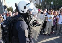 Cобрания сторонников и противников властей Сербии прошли без беспорядков