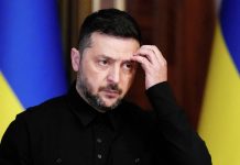 Экс-постпред США при НАТО считает, что Зеленский не готов принять план США