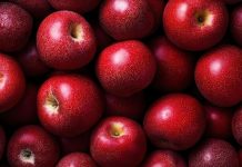 Гастроэнтеролог назвала популярные продукты, провоцирующие изжогу