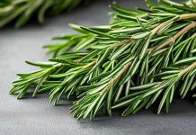 Известная приправа ускоряет заживление ран