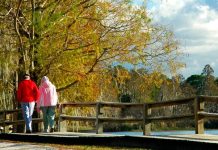 Как не дать раку лёгких шанса: врач назвала главные правила защиты