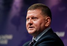 Киев не может отвергать прекращение конфликта, заявил Залужный