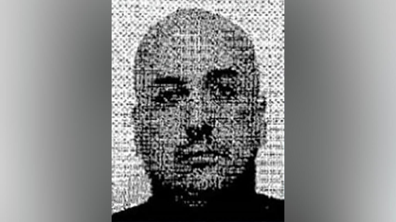 Мужчина, обвиняемый в подрыве "Северных потоков", объявил голодовку