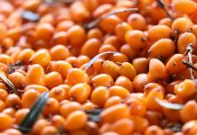 «Против рака и холестерина»: врач раскрыла полезные свойства популярной ягоды