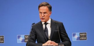 Пушков поставил на место Рютте после слов о России