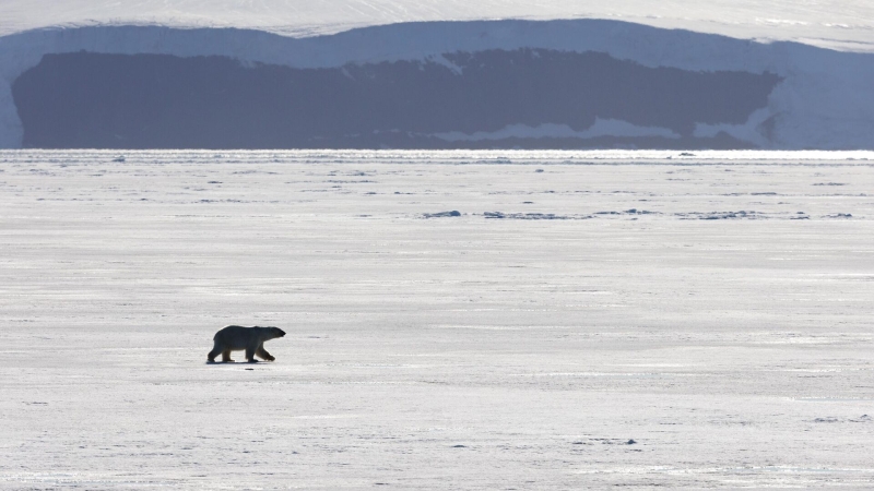 Россия вышла из соглашения с Евроарктическим регионом по реагированию на ЧС