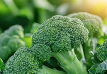 Россиянам назвали лучшие продукты, очищающие кровь