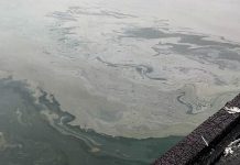 В Норвегии с севшего на мель судна вытекло четыре тысячи литров топлива