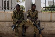 В Судане заявили, что Украина и Запад поставляют оружие для повстанцев