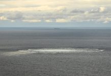 WSJ рассказала, как задержали обвиняемого по делу о «Северных потоках»