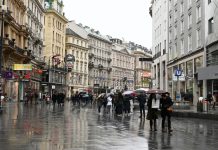 Действия Вены не дают российским дипмиссиями работать, заявил посол