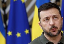 Дмитриев опубликовал опрос, стоит ли Зеленскому прочитать предложение США