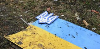 На Украине, в Прибалтике и Европе возникают ростки нацизма, заявил историк