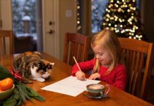 Названа опасность любимого фрукта россиян для кошек и собак