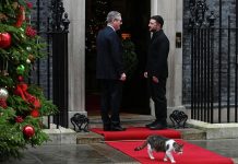 «Под порошком». Визит Зеленского в Лондон поразил пользователей Сети