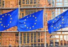 Пушков оценил позицию Венгрии, Словакии и Чехии по кредиту Украине