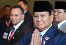 Самолет главы Индонезии, прибывшего в Москву, украсили российским флагом