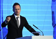 У Венгрии нет альтернатив для российских энергоносителей, заявил Сийярто