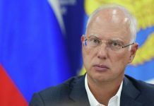 В Кремле анализируют материалы по Украине, переданные Дмитриевым