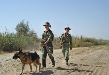 В Таджикистане на границе уничтожили вооруженных террористов из Афганистана