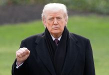 Эксперт назвал Трампа настоящим лидером Европы