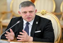 Словакия может поучаствовать в мониторинге по Украине, заявил Фицо