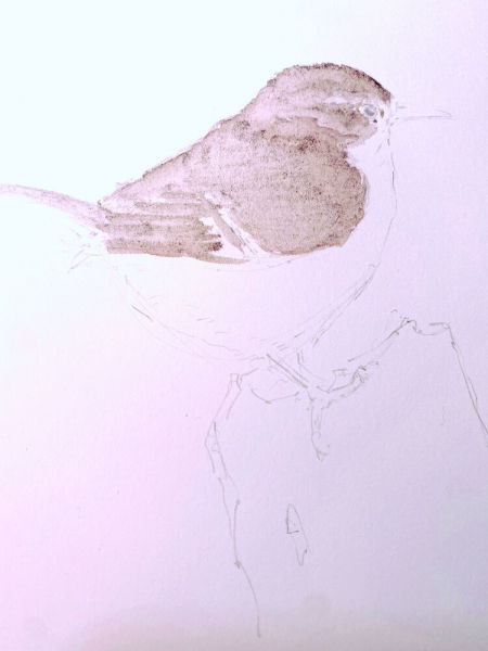 «Орешек»: птичка акварелью